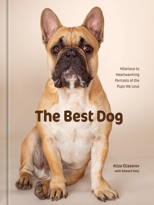 cover image of The Best Dog